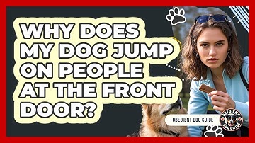 Why Does My Dog Jump On People At The Front Door? - Obedient Dog Guide