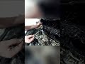Ölaustritt &amp; Klebereste: Dichtungen verrutscht! #shorts