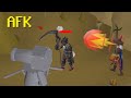 Finding a player afk with blood torva in edgeville dungeon