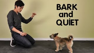 Teach Dog to Stop Barking  Treatpouch.com