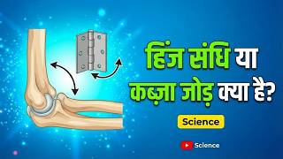 हिंज संधि या कब्ज़ा जोड़ क्या है | Hinge Joint in Hindi | Class 6 Science
