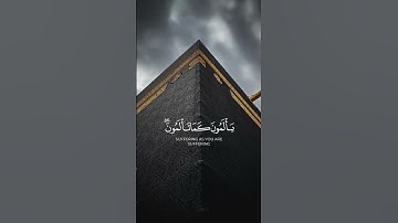 سورة النساء {الآية 104} بصوت الشيخ صالح الجعفراوي ❤️💖