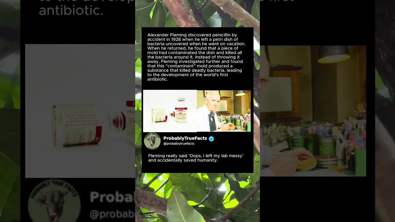 How A Messy Lab Accident Saved Millions Of Lives! 🧪 