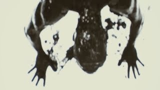 Watch Talking Heads The Overload video