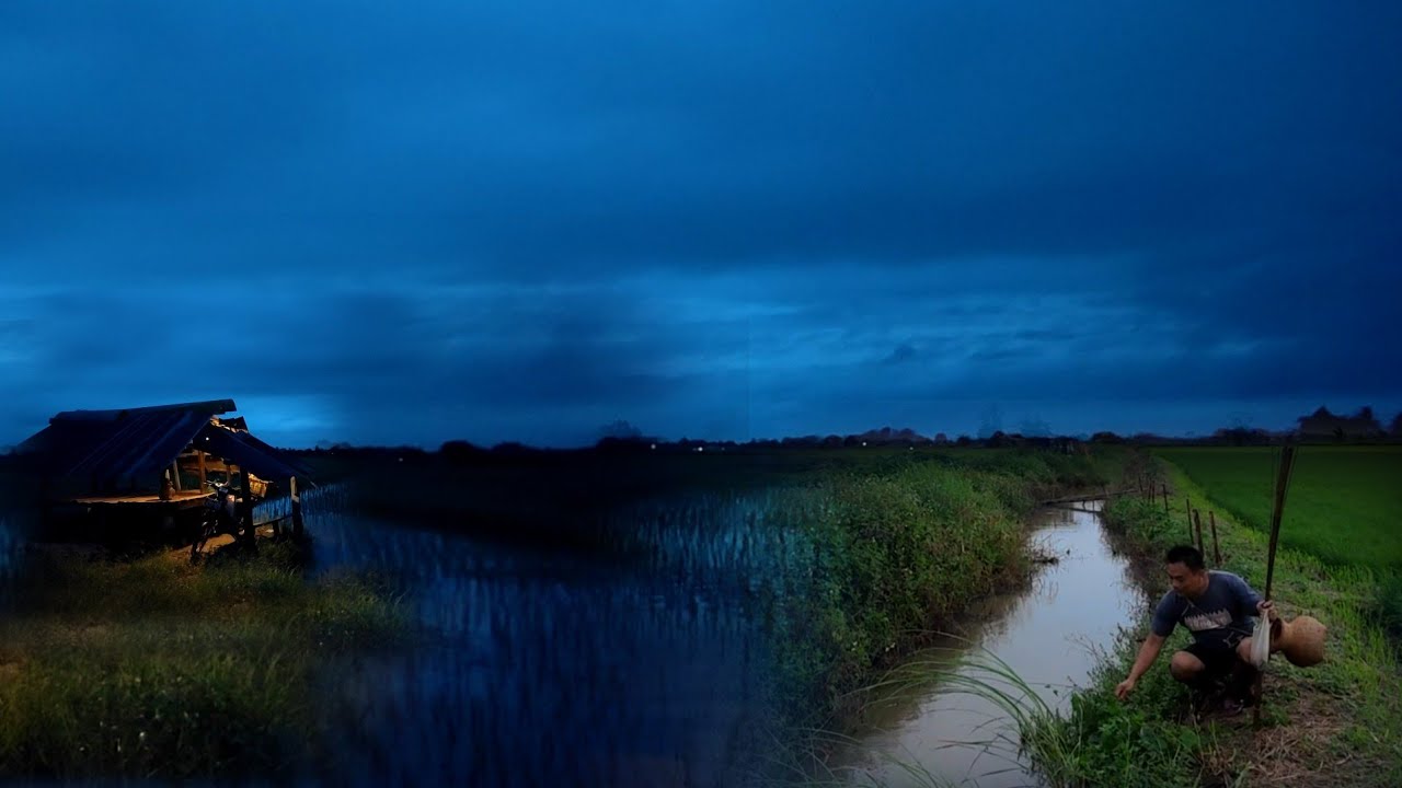 ตกใจสุดขีดอยู่ๆมาได้ยังไงปักเบ็ดหมายดงปลาดุกลุ้นจนคันเบ็ดหัก