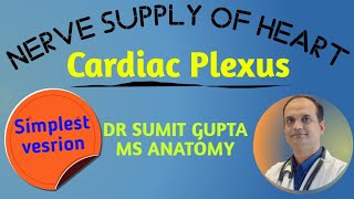 NERVE SUPPLY OF HEART : CARDIAC PLEXUS