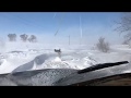 Plowing in a blizzard and getting stuck