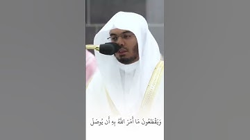 الذين ينقضون عهد الله | تلاوة هادئة بصوت القارئ ياسر الدوسري #قران_كريم #ياسر_الدوسري #quran #قرآن