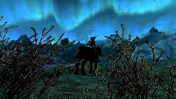 Skyrim with the FXAA Injector