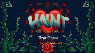 "Haunt, The Cartoon Heart" by Bear Ghost chords