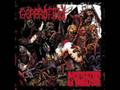 Gorerotted - Cut, Gut, Beaten, Eaten