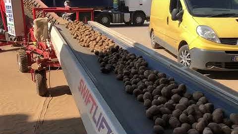 Double Conveyors & Extendo Elevator loading bulk potatoes