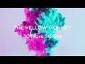 THE YELLOW MONKEY – MY WINDING ROAD -2022 Remaster- (Official Audio)