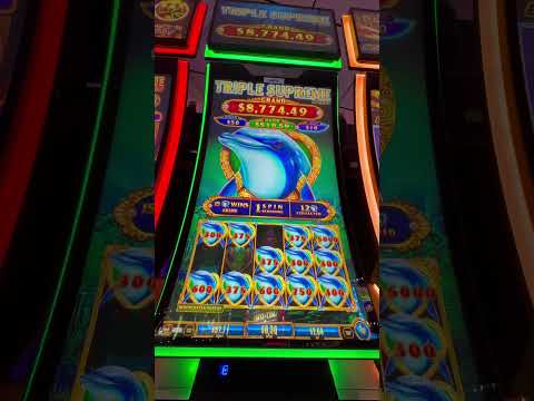 Oceanspin Casino: Online Kasino Hry Pro Hráče Ze České Republiky