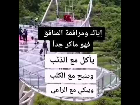 اياك ومرافقة المنافق فهو ماكر جدا يأكل مع الذئب وينبح مع الكلب ويبكي مع الراعي