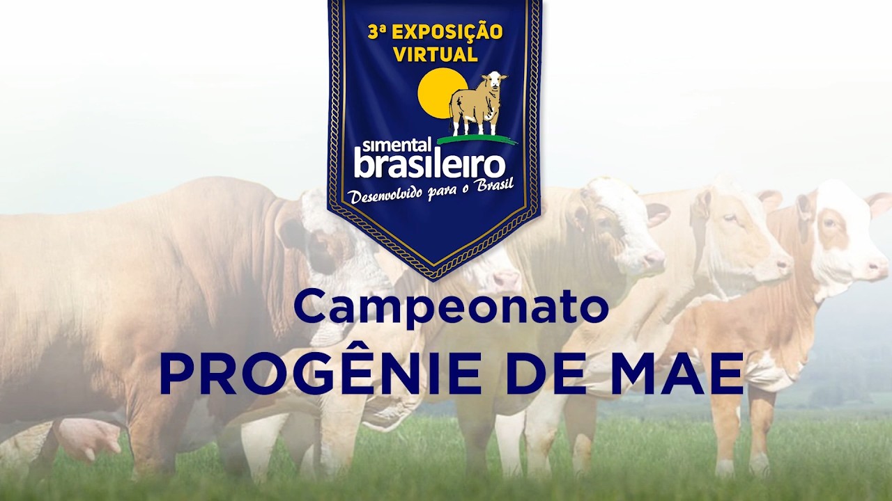 Progenie CAMPEONATO PROGÊNIE DE MÃE - 3ª Exposição Virtual do Simental ...