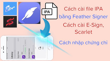 Cách cài E-Sign, Scarlet, Feather để cài file ipa trên iOS | Nhập chứng chỉ để cài ipa @hadu75tv