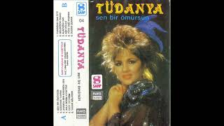 Aşk Kölesi - Tüdanya 1987 (320 Kbps) Resimi