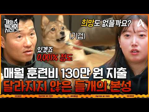 A wild dog even the owner avoided: Kang Hyung-wook's expert solution to defy the 0.001% chance of...