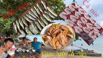 Ngày biển mới | giác lưới lỗ dầu | lưới cá đục | hoàng Phú quốc