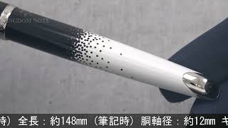 WATERMAN ウォーターマン 万年筆 カレン オンブル・エ・ルミエール