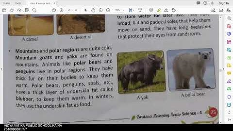 class 4 science ch 10 adaptations how animals survive part 1