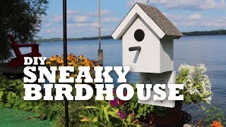 DIY Sneaky Birdhouse