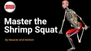Master the Shrimp Squat: Build Lower-Body Strength and Mobility | Muscle and Motion