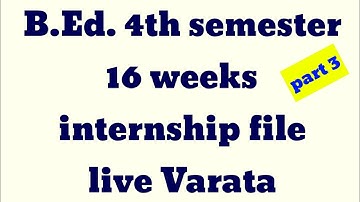 b.ed.4 th semester 16 weeks internship file part 3