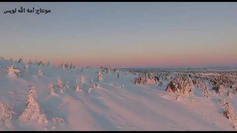 تلاوة من سورة النبأ || معاذ العيد