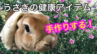 【うさぎ】小豆で豆カイロを作るよ♪週末ダイジェスト♪
