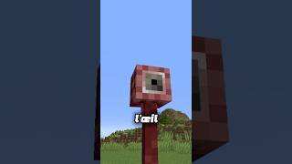 Ne regarde SURTOUT PAS ce mod horreur… #minecraft #horreur #shorts #modhorreur #modfr #scp #gaboom
