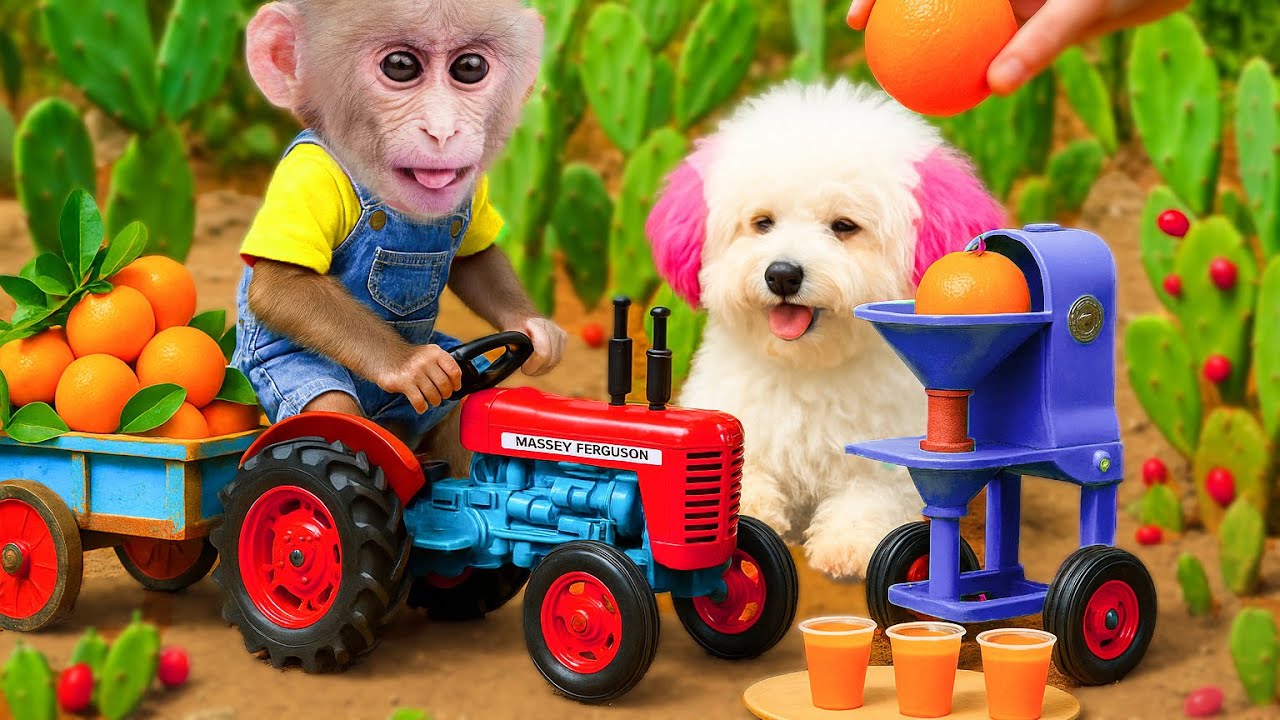 A Day Full Obi Monkey & Puppy Dog of Fruit and Friendship | ANIMALS LIFE