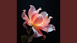 Midnight Bloom