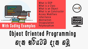 Learn in One Video - Object Oriented Programming with Coding Examples for Beginners