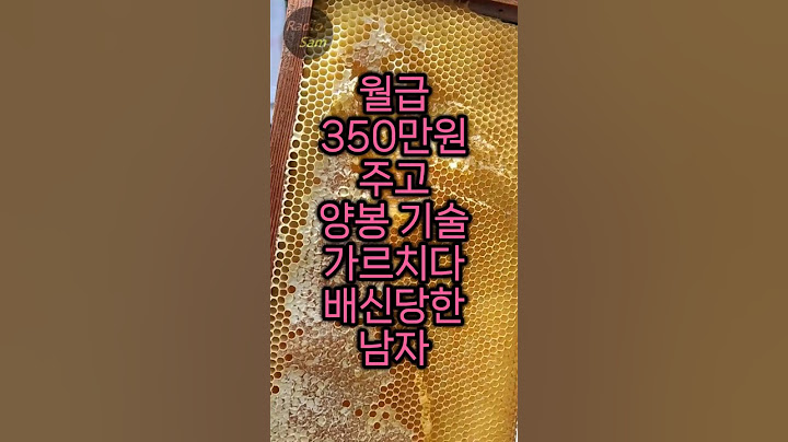 월급 350만 원 주고 양봉기술 가르쳤는데 결과가