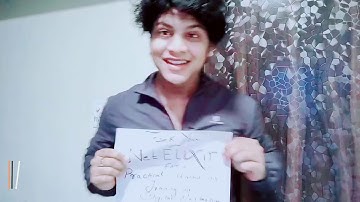 Start Your Digital Marketing Career: Testimonials From Netelixir’s Elite Interns