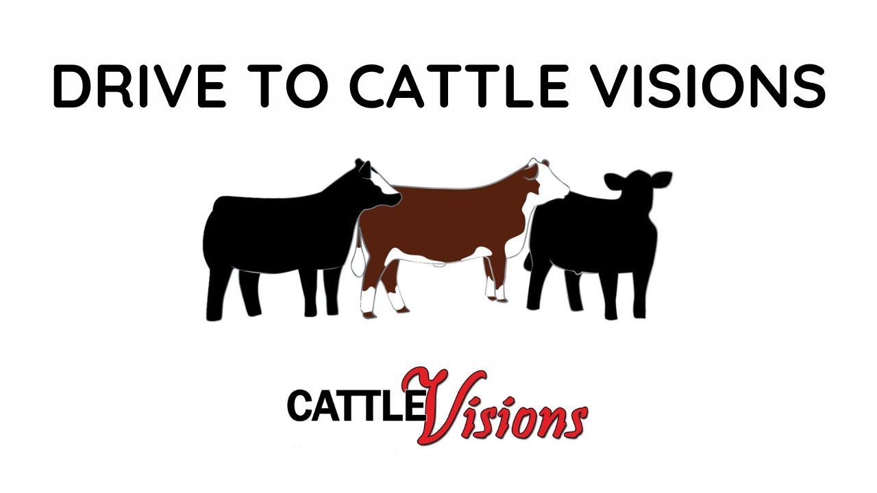 2023 Drive to Cattle Visions YouTube