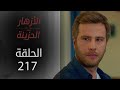 مسلسل الأزهار الحزينة الحلقة 217 الموسم الثاني 