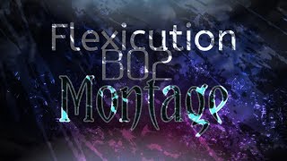 Flexicution Bo2 Minitage