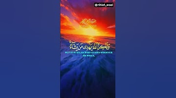 تلاوة مؤثرة للآية الكريمة "إِنَّكَ لَا تَهْدِي مَنْ أَحْبَبْتَ" بصوت خاشع يلامس القلوب 💖