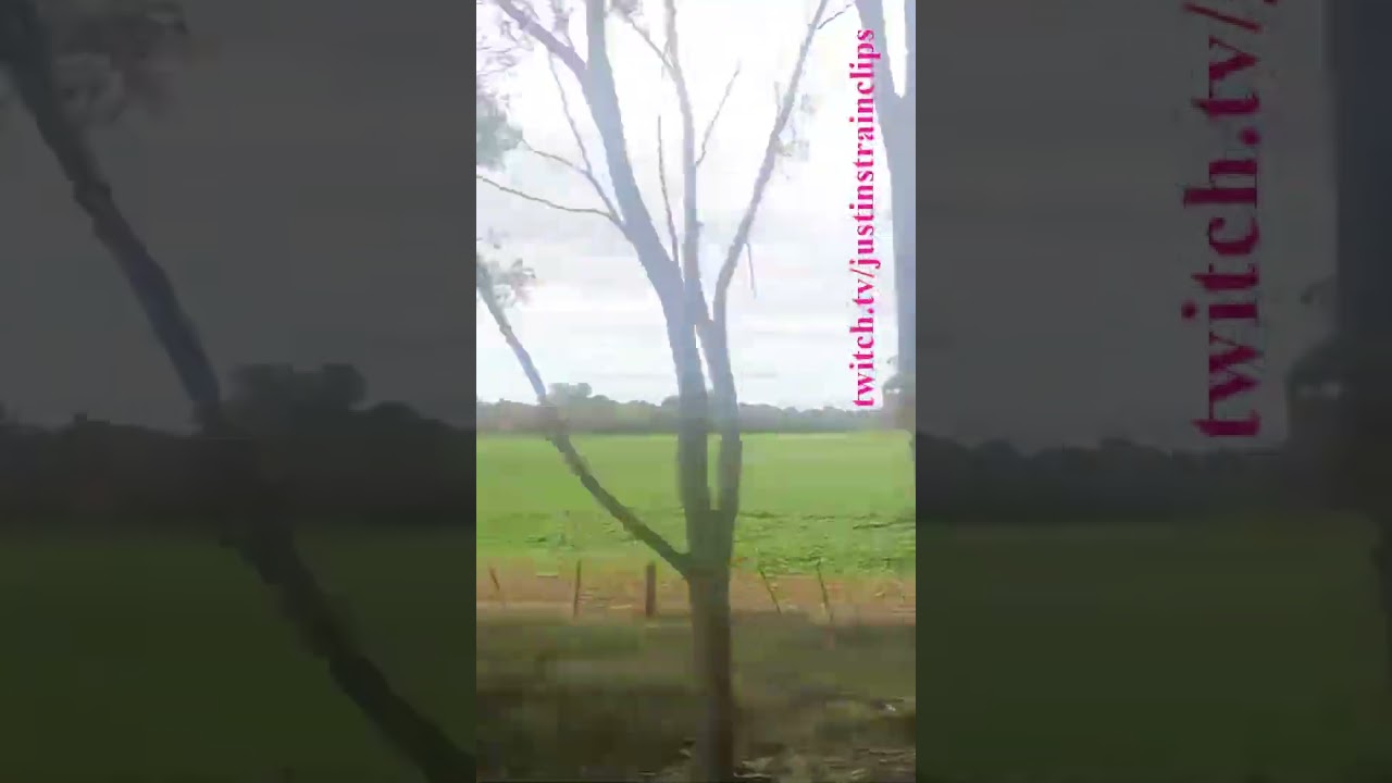 Steamrails Transfer Newport-Glen Waverley 060724 