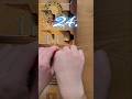 24. Türchen LEGO Harry Potter #76438 Adventskalender 2024