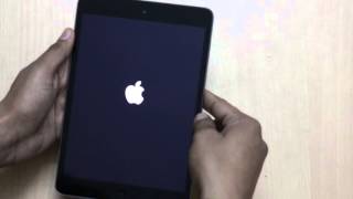 [iPad Issue] How To Solve 'No Display' or 'Black Screen' Problem On iPad (iPad Mini)