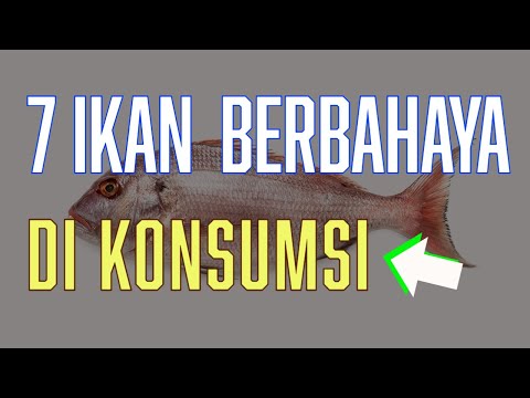 Video: Ikan hidup. Jerung biru. Kejang-ikan