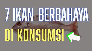 7 Ikan yang sebaiknya tidak anda konsumsi