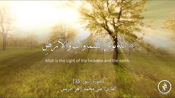 تلاوة هادئة - سورة النور - آية (35) - للقارئ الصغير: علي محمد زاهر ادريس