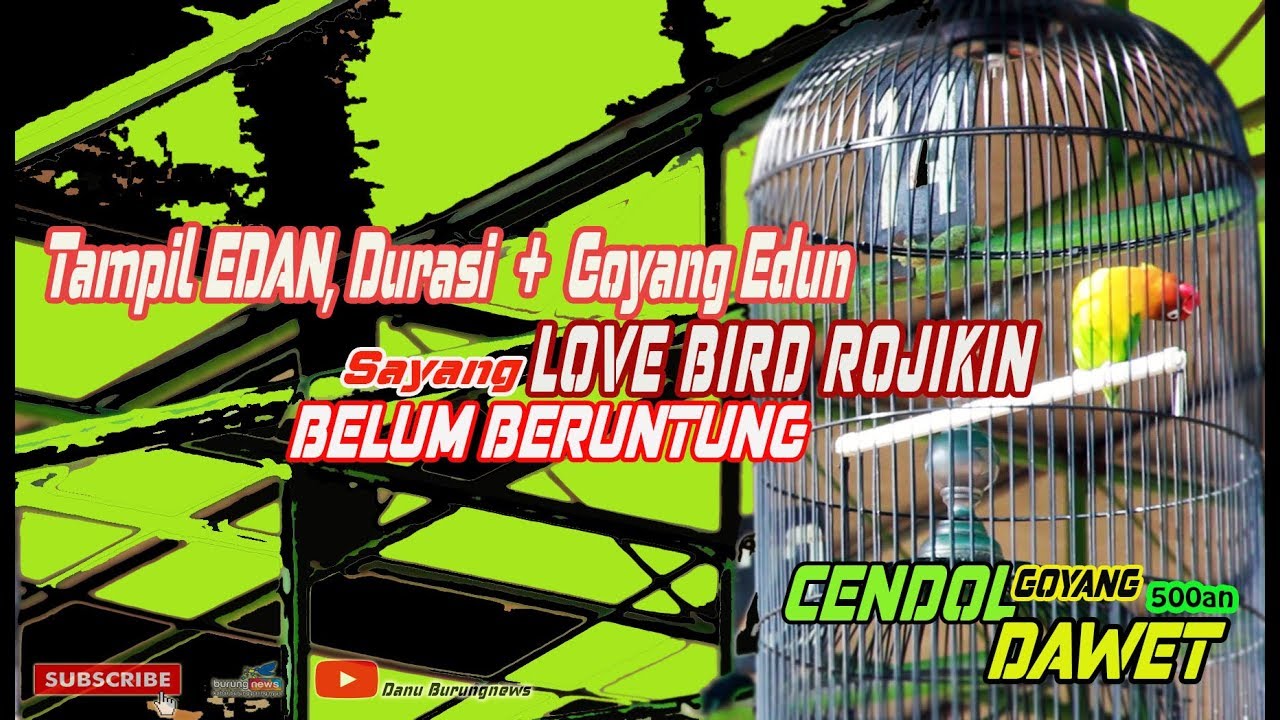 Banyunibocup Sudah Asik Bergoyang Sayang Rojikin Belum