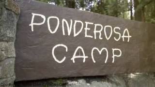 Youth Sunday 2016 - Cypress Church