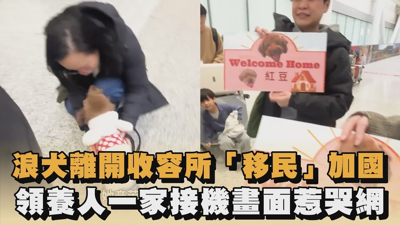 浪犬離開收容所「移民」加國　領養人一家接機畫面惹哭網｜#全民話燒